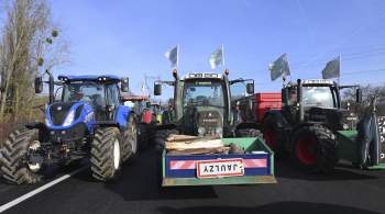 Французские фермеры устроили акцию протеста в Орлеане 
