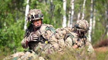 СМИ: проблемы ВС Британии подрывают ее вклад в обороноспособность НАТО
