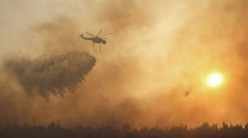 В Греции ситуацию с пожарами назвали беспрецедентным экологическим кризисом