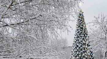 Синоптик рассказала о погоде в Москве в новогодние праздники