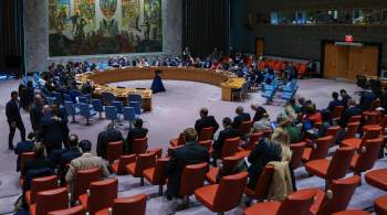 Лавров прокомментировал решение Израиля покинуть заседание СБ ООН
