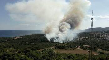 Пять человек пропали без вести из-за лесных пожаров в Черногории