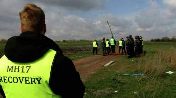 Умер один из свидетелей по делу о крушении рейса MH17, сообщил судья