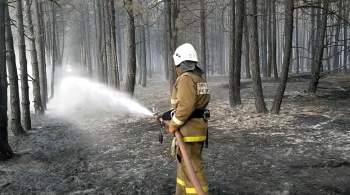 В Красноярском крае действует 21 лесной пожар