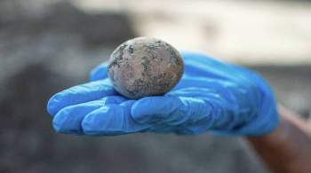 В Израиле нашли тысячелетнее куриное яйцо