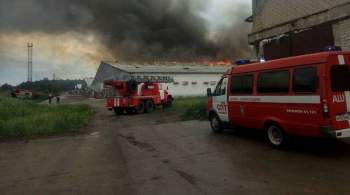 Пожар на птицефабрике в Челябинской области локализовали