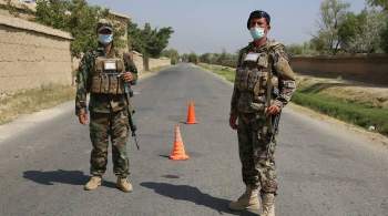 Минобороны Афганистана заявило о ликвидации более 270 талибов