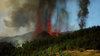 Россиянка раскритиковала эвакуацию из-за извержения вулкана на Канарах