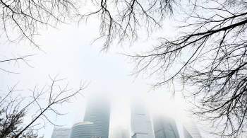 Синоптики пообещали потепление в Москве после тумана 