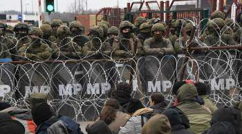 СК Белоруссии: Польша спланировала применение спецсредств против мигрантов