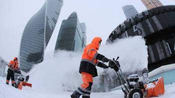 Москвичам пообещали снежную и теплую погоду в конце января