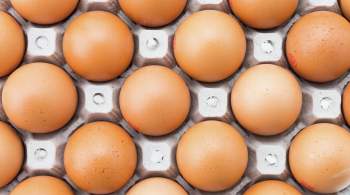 ФАС предложила ретейлерам временно ограничить наценку на куриные яйца 