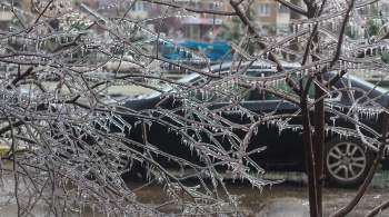 В МЧС предупредили о последствиях ледяного дождя в Москве