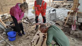 В Норвегии во дворе частного дома нашли могилу викинга