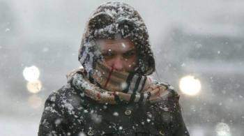 В Хабаровске ввели режим ЧС из-за снегопада