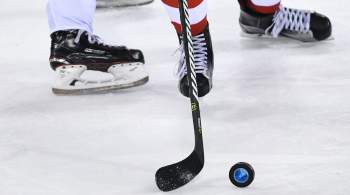Хоккеисток в США отстранили из-за доведения партнерши до самоубийства