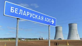 Литва закупила белорусскую электроэнергию, заставив отказаться от нее Киев