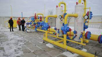 СМИ: Украина начала закупать у Венгрии российский газ