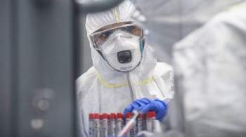 В России провели более 200 миллионов тестов на коронавирус