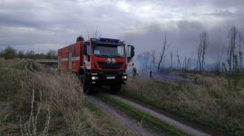 В Тольятти возбудили уголовное дело из-за лесного пожара