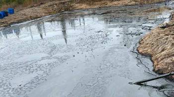 Росприроднадзор подсчитал ущерб почвам от нефтеразлива  Лукойла  в Коми