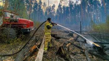 Площадь пожаров в Мордовском заповеднике выросла до 112 гектаров