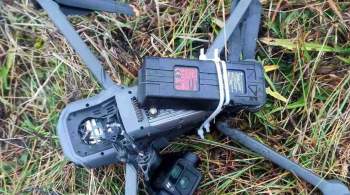 В Белоруссии сообщили о сбитом на границе с Украиной дроне-разведчике