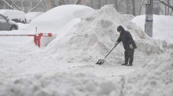 Москвичей предупредили о новом снегопаде 