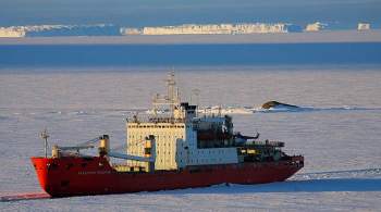 Научное судно  Академик Федоров  вернулось из Антарктиды в Петербург