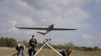 Над Брянской областью перехватили украинский дрон 