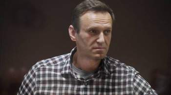 В Госдуме заявили об отсутствии ответа от ОЗХО по ситуации с Навальным