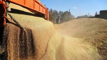 Урожай зерна в 2021 году будет меньше чем в прошлом, заявил Путин