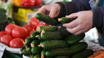Дачникам объяснили, когда нужно платить налог при продаже своих овощей