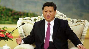 Си Цзиньпин предложил России расширять сотрудничество в энергетике