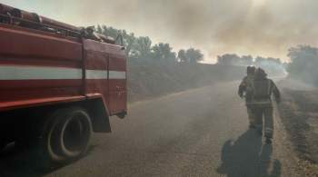 В Курганской области потушили крупный пожар в селе 