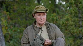  Медведь видит, что это Путин . Песков о безопасности президента на отдыхе
