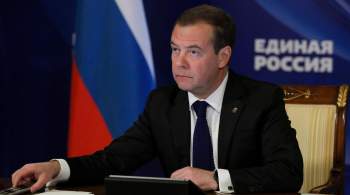 Не все диверсии совершают мигранты, заявил Медведев 