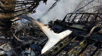 Упавший на Камчатке самолет вез продукты и стройматериалы