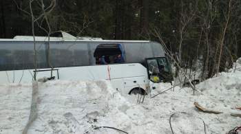 На Урале арестовали водителя автобуса с хоккеистами, попавшего в ДТП 