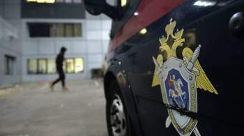 Следователи возбудили уголовное дело после падения Ан-2 на Камчатке