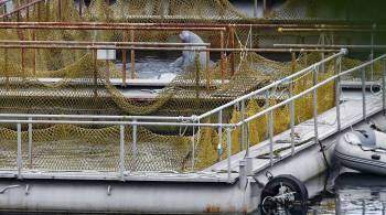 В Приморье полностью закрыли  китовую тюрьму 