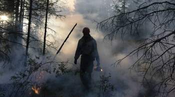 В Башкирии площадь лесных пожаров увеличилась до четырех тысяч гектаров