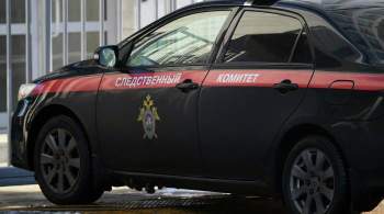 Следователи раскрыли подробности убийства двух девочек в Туве