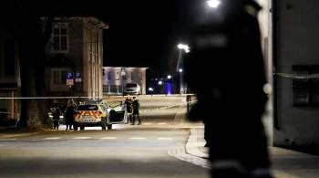 В полиции рассказали о мужчине, расстрелявшем людей из лука в Норвегии