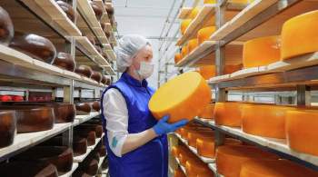 В Ивановской области за восемь месяцев вдвое увеличили производство сыра