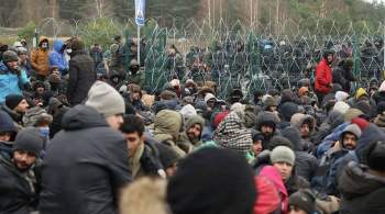 Латвия, Литва и Эстония осудили правительство Белоруссии из-за мигрантов