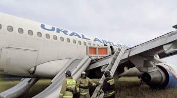 Пассажирам севшего в поле самолета выплатят по сто тысяч рублей 