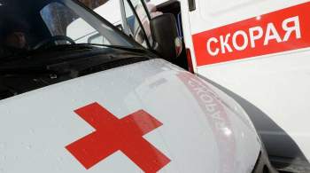 Четыре человека погибли при ДТП в Свердловской области