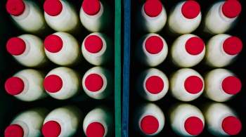 В Ленобласти появится новое производство по переработке молока