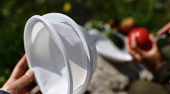 В России могут отказаться от пластиковой посуды и ватных палочек 